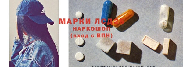 ГАЛЛЮЦИНОГЕННЫЕ ГРИБЫ Богданович