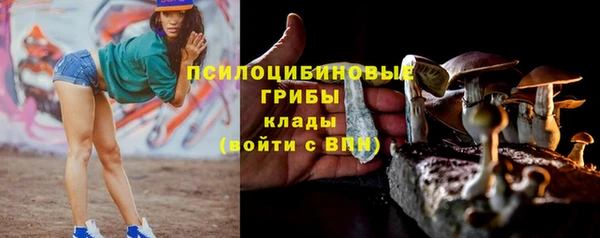 ГАЛЛЮЦИНОГЕННЫЕ ГРИБЫ Богданович