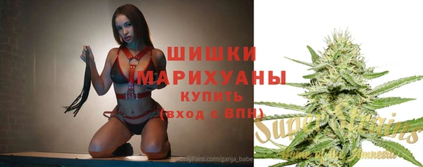 spice Богородск