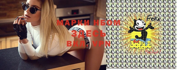 крисы Надым