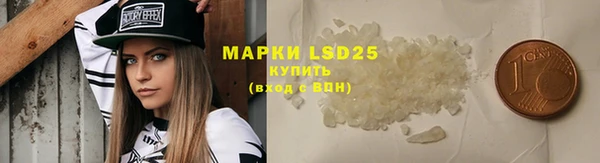спайс Бородино