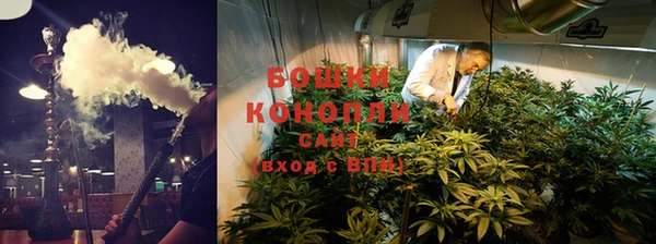 спайс Бородино