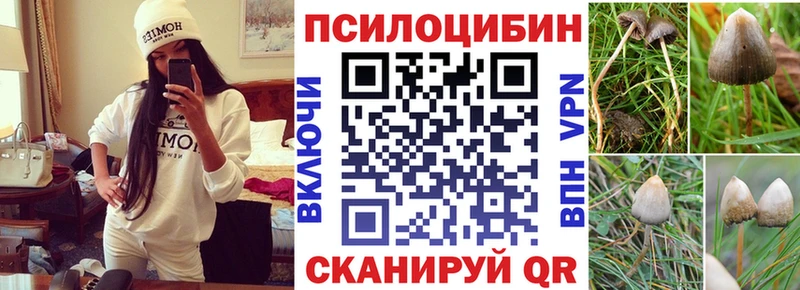 Галлюциногенные грибы Cubensis  Купить закладки  Курильск 